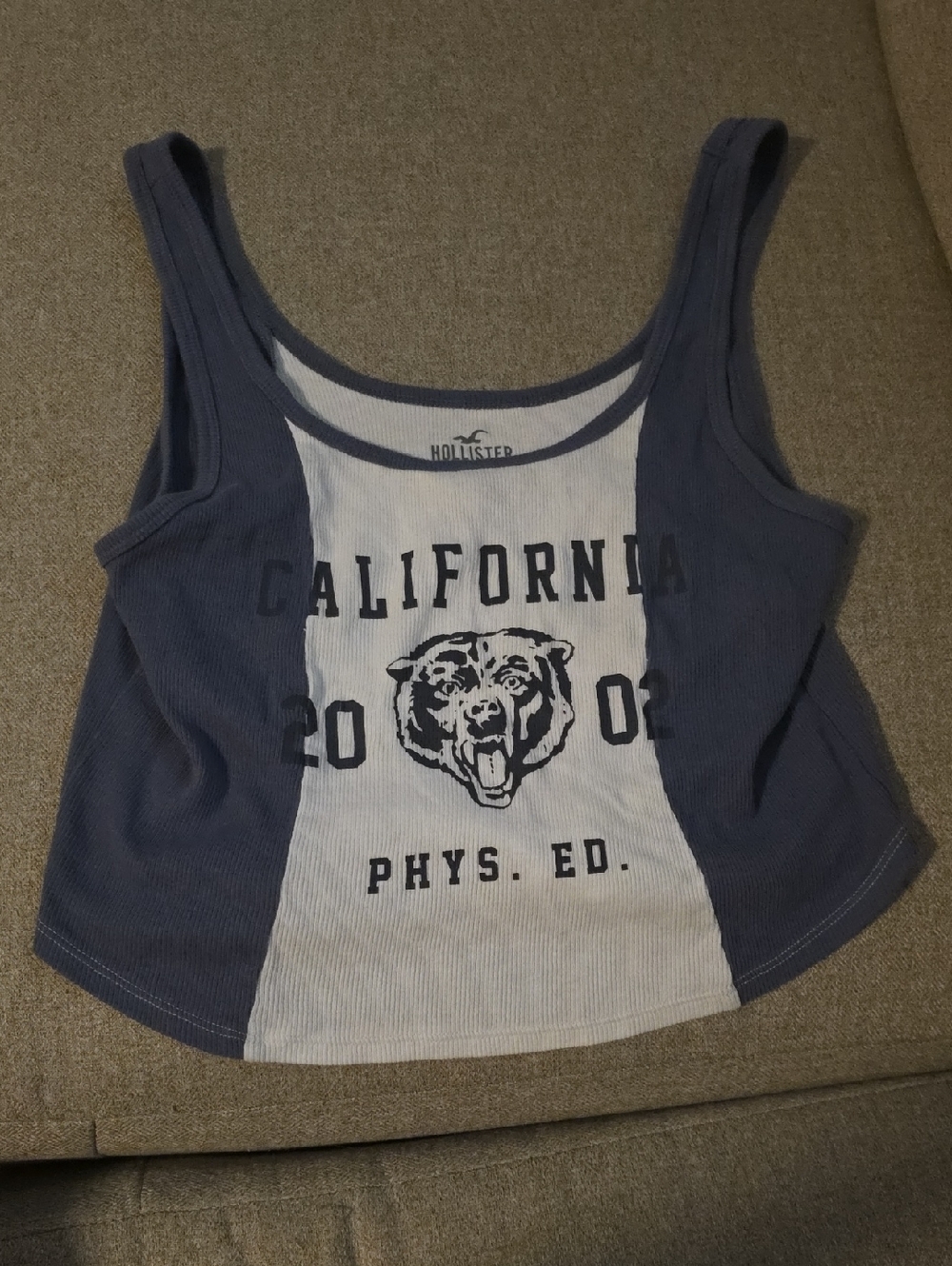 Hollister Blue & White California Graphic Tank